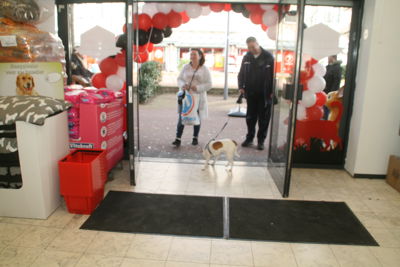 Foto 61 uit Dieren Zaak Catdox