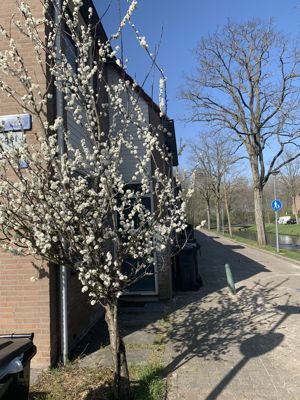 Foto 10 uit Lente En Zomer 2022