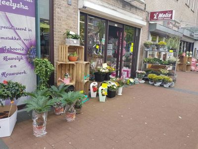 Foto 137 uit NeelyshaBloemen