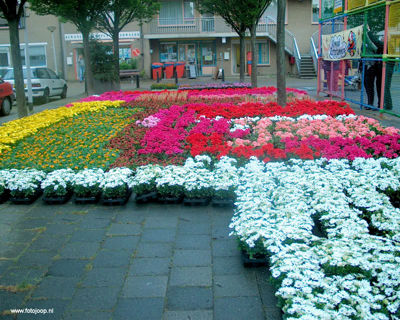 Foto 3 uit opzoomeren 29_5_8