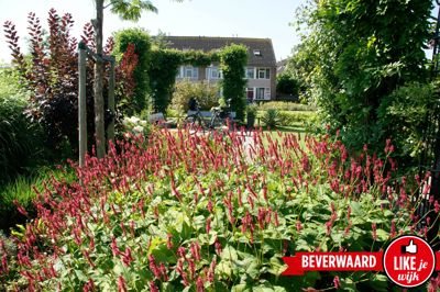 Foto 286 uit LIKEJEWIJK FOTO'S_3