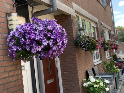 Foto 330 uit Rondje Beverwaard 2026