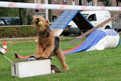 Foto 139 uit Wijkfeest12-09-2009