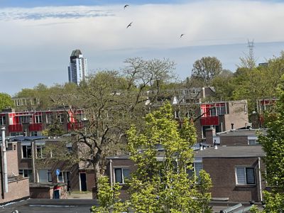 Foto 161 uit Rondje Beverwaard 2026