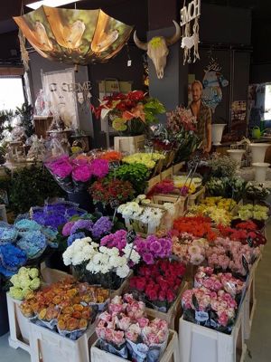 Foto 164 uit NeelyshaBloemen