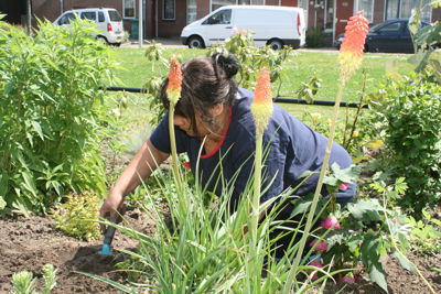 Foto 54 uit Tropische Tuin12_6