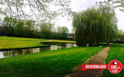 Foto 81 uit LIKEJEWIJK-2016