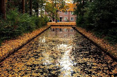 Foto 38 uit Herfst In Beverwaard