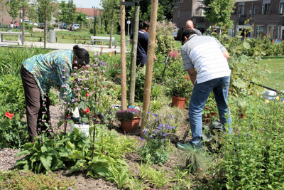 Foto 41 uit Tropische Tuin12_6