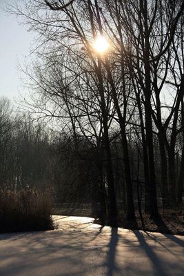 Foto 45 uit WinterIn Beverwaard