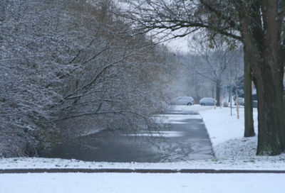 Foto 217 uit WinterIn Beverwaard