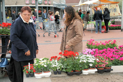 Foto 73 uit OpzoomerenPlantjes