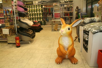 Foto 38 uit Dieren Zaak Catdox