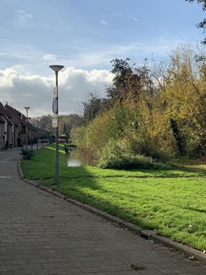 Foto 407 uit Rondje Beverwaard 2026