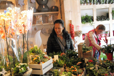 Foto 149 uit De Bloemenboetiek