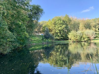 Foto 252 uit Rondje Beverwaard 2026