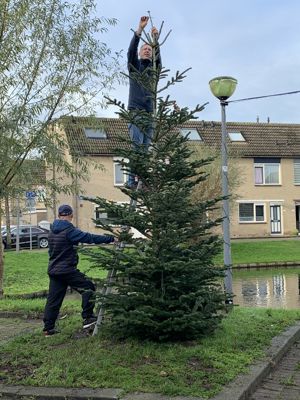 Foto 3 uit Kerstboom optuigen