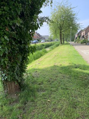 Foto 241 uit Rondje Beverwaard 2026