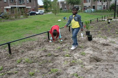 Foto 26 uit Tropische Buurttuin