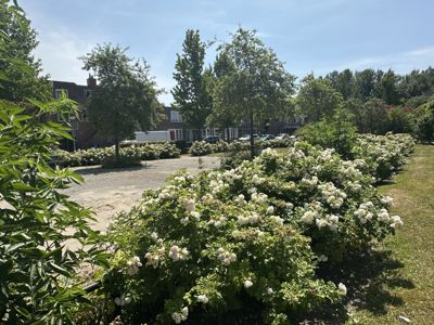 Foto 169 uit Rondje Beverwaard 2026