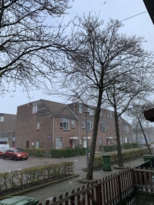 Foto 4 uit Sneeuw met Pasen