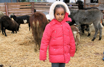 Foto 45 uit Sinterklaas 2009B.W