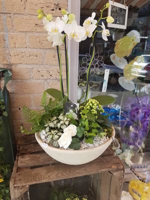 Foto 16 uit NeelyshaNieuweZaak