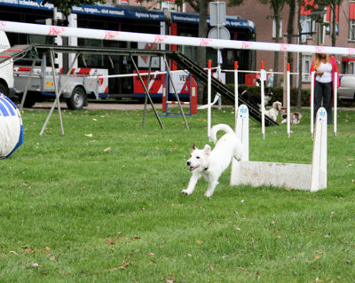 Foto 136 uit Wijkfeest12-09-2009