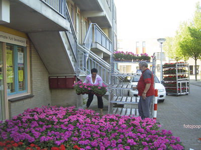 Foto 25 uit opzomeren 2005