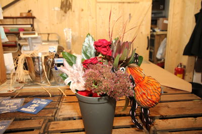 Foto 7 uit DierendagPrijzen