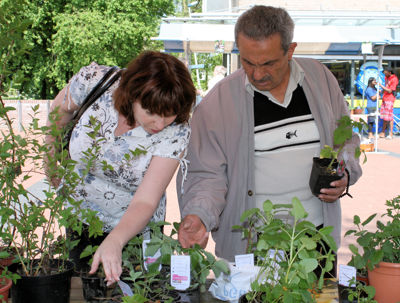 Foto 27 uit Tuin-Academie25-4_9