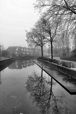 Foto 59 uit Herfst In Beverwaard