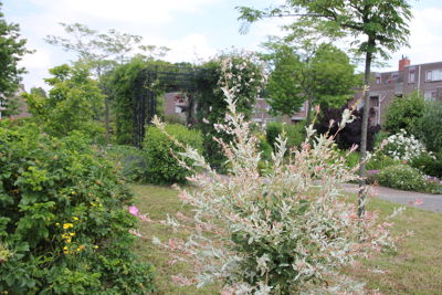 Foto 278 uit TropischeTuin 2017