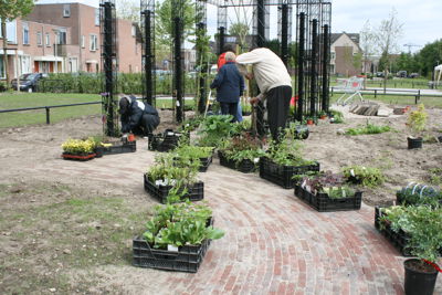 Foto 16 uit Tropische Buurttuin