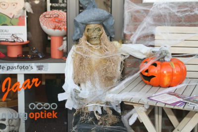 Foto 239 uit Halloween1-11-2014