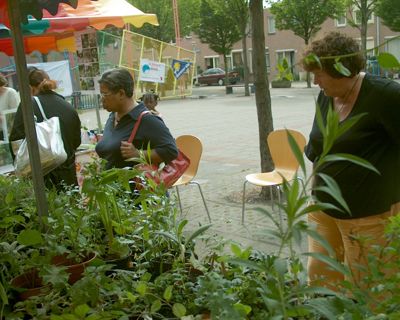 Foto 82 uit opzoomeren 29_5_8