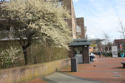 Foto 2 uit Lente Kriebels Bloei