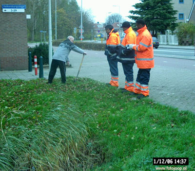 Foto 32 uit bloembollen planten