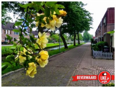 Foto 87 uit LIKEJEWIJK-2016