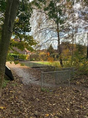 Foto 99 uit X-Herfst Verschillende jaren  2026