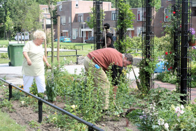 Foto 43 uit Tropische Tuin12_6