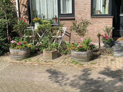 Foto 242 uit Rondje Beverwaard 2026