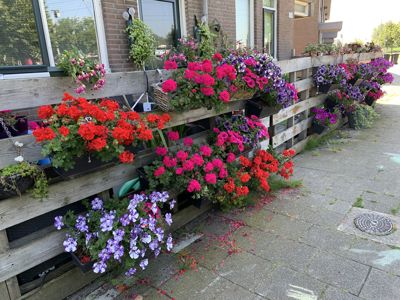 Foto 321 uit Rondje Beverwaard 2026