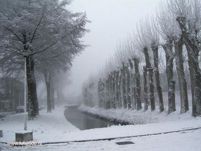 Foto 118 uit WinterIn Beverwaard