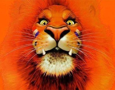 Foto 42 uit OranjeInBeverwaard