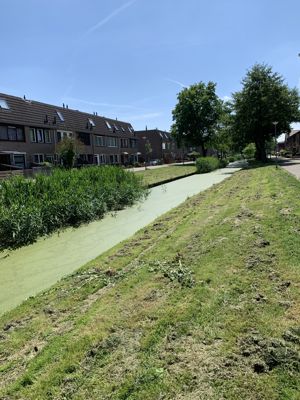 Foto 127 uit Rondje Beverwaard 2026