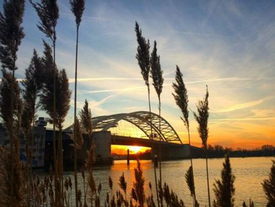 Foto 434 uit BRIENENOORDBRUG