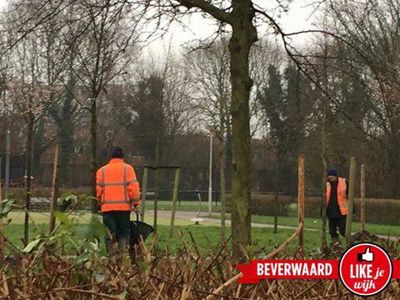 Foto 225 uit LIKEJEWIJK FOTO'S_3