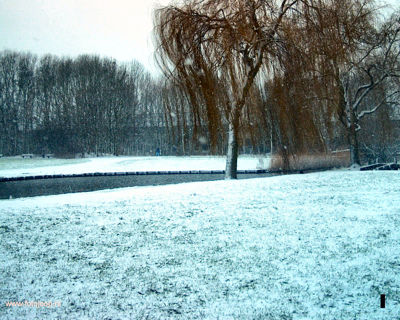 Foto 162 uit WinterIn Beverwaard