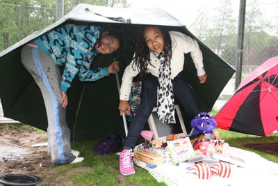 Foto 17 uit Stormpolder30_4-10